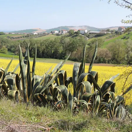 Casa Sabbatini SantʼElpidio a Mare