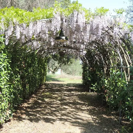 Διαμέρισμα Casa Sabbatini *