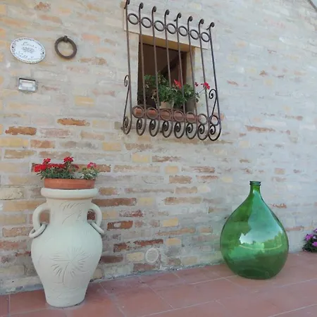 Casa Sabbatini Apartment Sant'Elpidio a Mare