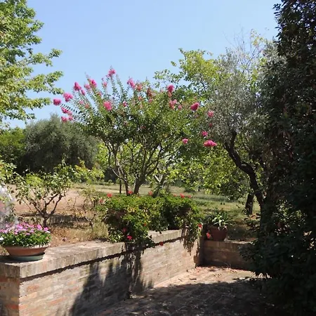 Casa Sabbatini SantʼElpidio a Mare