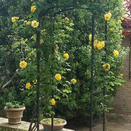 Appartement Casa Sabbatini SantʼElpidio a Mare